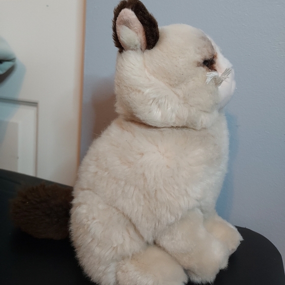 Gund Grumpy Cat Cream/Brown Stuffed Animal 9in - Picture 6 of 11